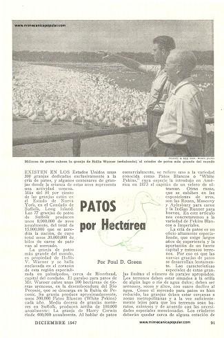 Patos por Hectárea - Diciembre 1947