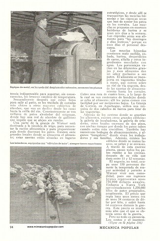 Patos por Hectárea - Diciembre 1947