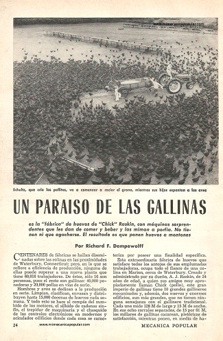 Un Paraíso de las Gallinas - Noviembre 1953