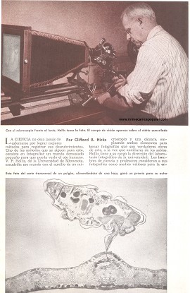 Un Mundo a Través del Microscopio - Octubre 1948