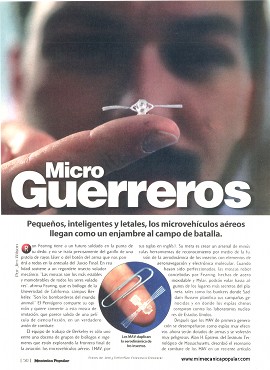 Micro Guerreros - Marzo 2001