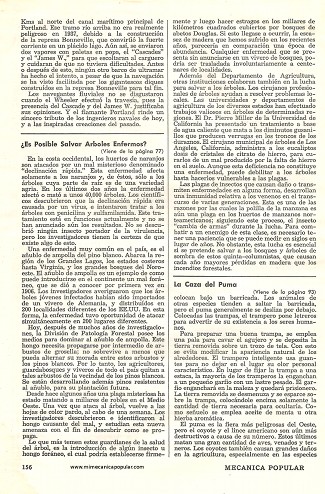 ¿Es Posible Salvar Árboles Enfermos? - Agosto 1948