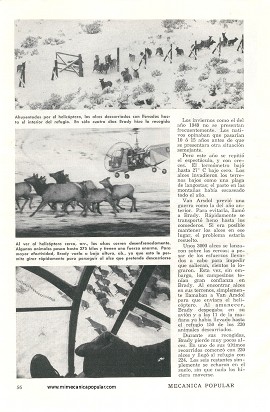 Cowboy en Helicóptero - Junio 1951