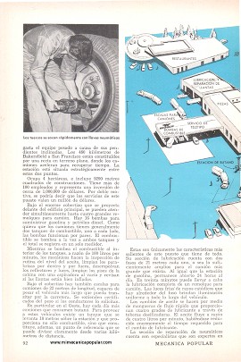 El Paraíso de los Conductores de Camiones - Septiembre 1953