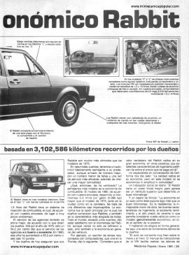 Informe de los Dueños: Rabbit Volkswagen 1980 - Enero 1981