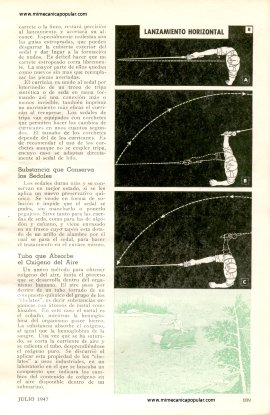 Cañas, Carretes y Curricanes - Julio 1947