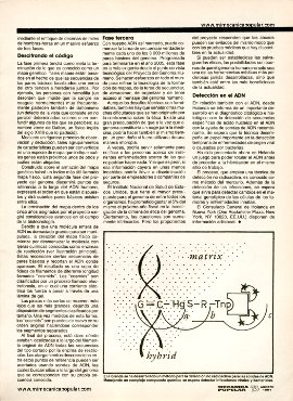 La ciencia en el mundo - Agosto 1991