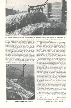Agricultores de Agua Salada - Septiembre 1952