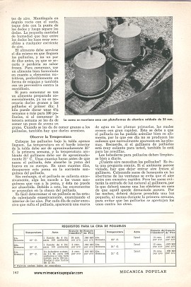 El éxito en la cría de pollos - Septiembre 1958
