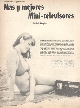 Los Mini-televisores de Agosto 1980