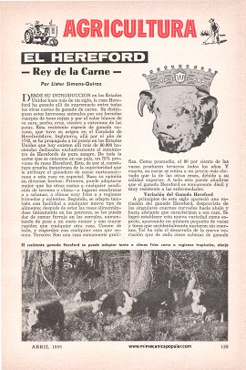 El Hereford - Rey de la Carne - Abril 1958