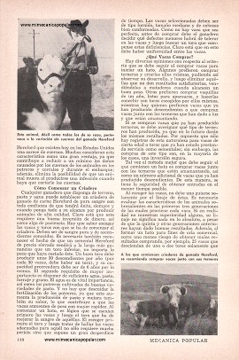 El Hereford - Rey de la Carne - Abril 1958