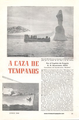A Caza de Témpanos - Junio 1948