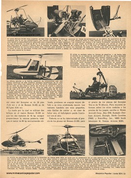 Helicópteros de Hechura Casera - Junio 1974