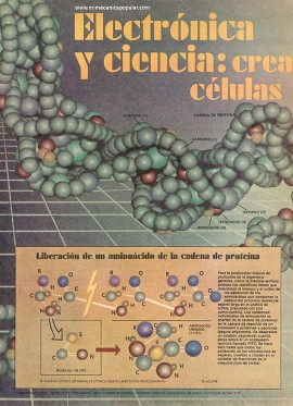 Electrónica y ciencia: creando células vivas - Junio 1983