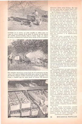 El Cultivo Mecanizado de las Huertas - Diciembre 1952