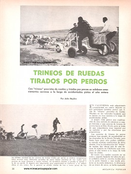 Trineos de Ruedas Tirados por Perros - Octubre 1966