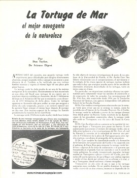 La Tortuga de Mar -el mejor navegante de la naturaleza - Junio 1963