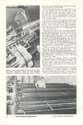Truchas Por Millones - Octubre 1952