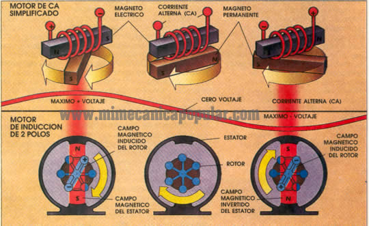 1 El motor simplificado de CA (arriba a la derecha) se compone de un magneto eléctrico colocado sobre un magneto permanente, montado en un pivote. Cuando la corriente es enviada a través del enrollado, el magneto permanente gira para que los polos opuestos se alineen. A medida que la CA cambia de dirección, el magneto permanente continúa girando para alinear los polos opuestos. El motor de inducción de dos polos (abajo a la derecha) tiene un estator que genera un campo magnético a través del rotor. La corriente eléctrica inducida en el rotor crea un campo magnética que hace girar el rotor para alinearlo con los polos del estator. Con cada ciclo de la CA, el rotor gira 360°. La velocidad es determinada por el número de ciclos por segundo.