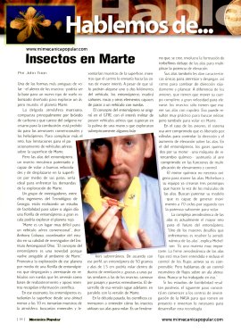 Insectos en Marte - Febrero 2002