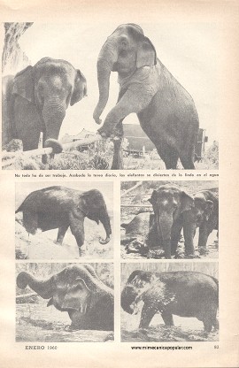 Elefantes En Vez de Topadoras - Enero 1960