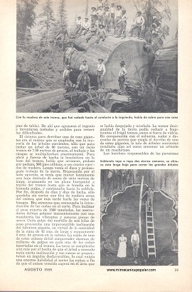 La Caída de los Colosos - Agosto 1954