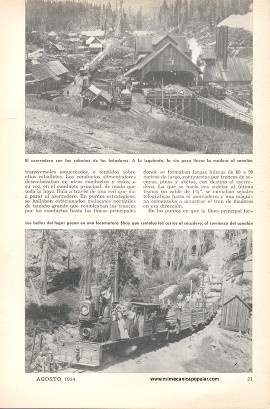 La Caída de los Colosos - Agosto 1954